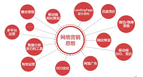 苔米傳媒為何聚焦網(wǎng)絡(luò)營(yíng)銷(xiāo) 互聯(lián)網(wǎng)時(shí)代的上網(wǎng)服務(wù)新機(jī)遇