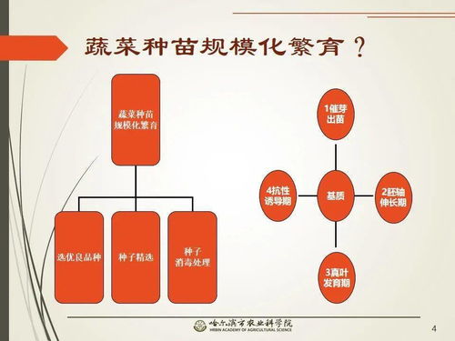 黨建引領(lǐng)謀發(fā)展 科技助農(nóng)備春耕 網(wǎng)絡(luò)課堂開(kāi)啟工廠(chǎng)化育苗知識(shí)小百科
